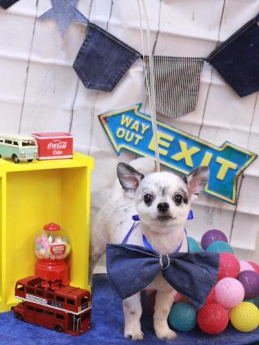 20230407メロディくん